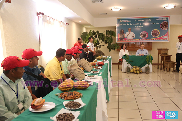 Nicaragua desarrolla Primer Congreso Internacional sobre Producci&oacute;n Sostenible de Cacao Fino